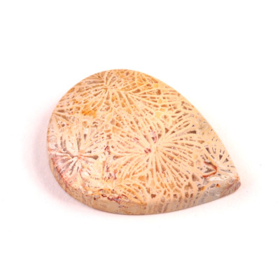 Kabošon Fossil Coral č.5422 (34x25x7mm)