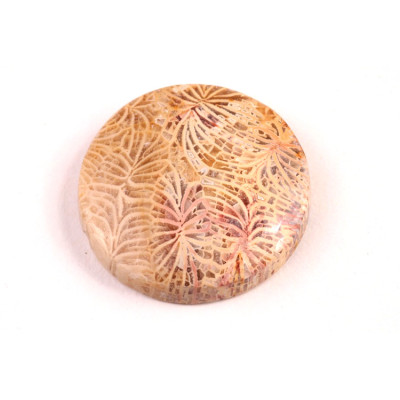 Kabošon Fossil Coral č.5425 (27x6mm)