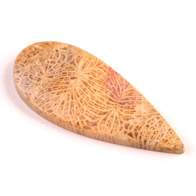 Kabošon Fossil Coral č.5431 (47x19x6mm)