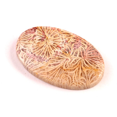 Kabošon Fossil Coral č.5432 (38x23x6mm)