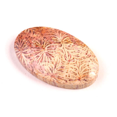Kabošon Fossil Coral č.5433 (37x23x6mm)