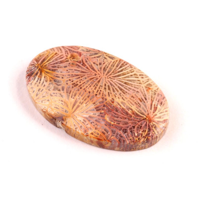 Kabošon Fossil Coral č.5434 (37x22x6mm)