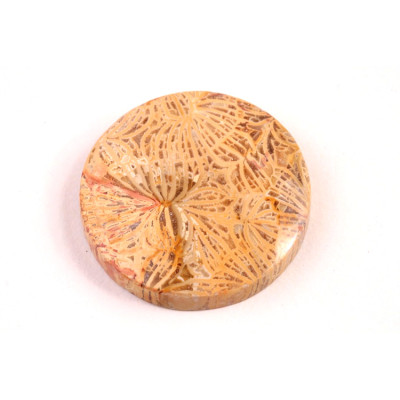 Kabošon Fossil Coral č.5437 (27x6mm)