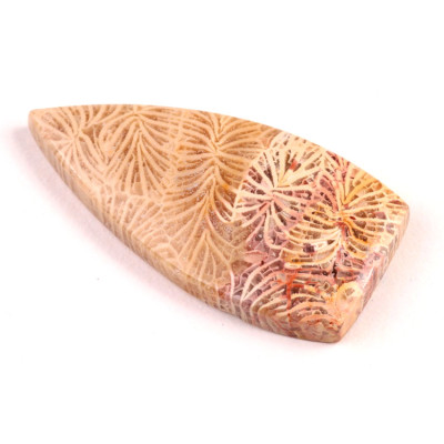 Kabošon Fossil Coral č.5438 (42x21x6mm)