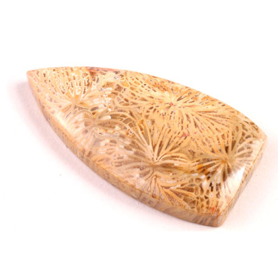 Kabošon Fossil Coral č.5439 (43x21x7mm)