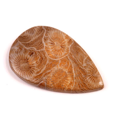 Kabošon Morocco Fossil č.3125 (40x26x4mm)