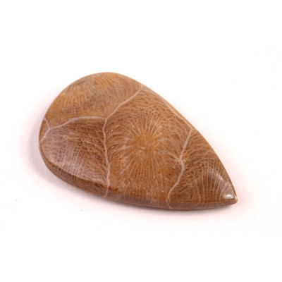 Kabošon Morocco Fossil č.3123 (35x21x5mm)