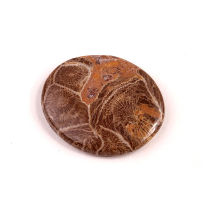 Kabošon Morocco Fossil č.3119 (29x25x5mm)