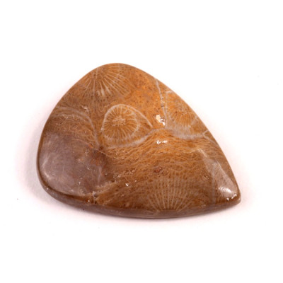 Kabošon Morocco Fossil č.3118 (35x27x6mm)