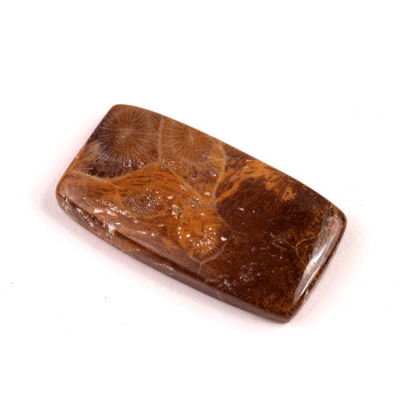 Kabošon Morocco Fossil č.3109 (33x17x5mm)