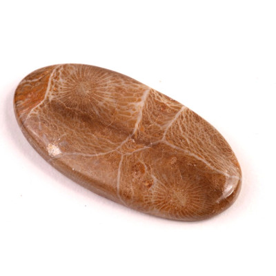 Kabošon Morocco Fossil č.3108 (43x21x6mm)