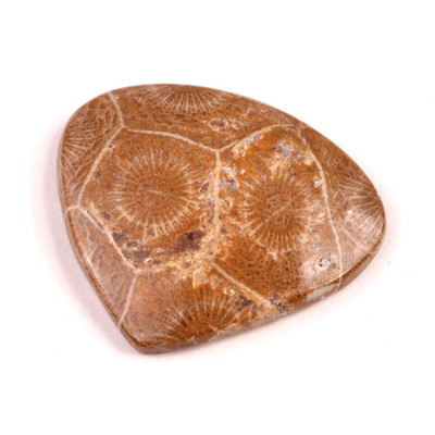 Kabošon Morocco Fossil č.3105 (34x40x6mm)