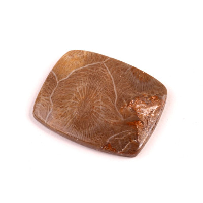 Kabošon Morocco Fossil č.3104 (30x24x4mm)