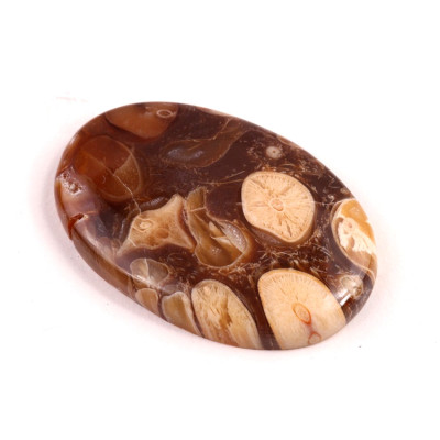 Kabošon Peanut Fossil č.2522 (40x27x6mm)