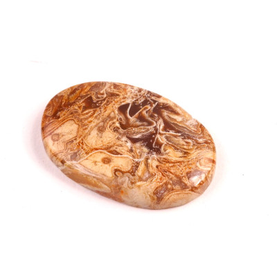 Kabošon Peanut Fossil č.2520 (34x22x5mm)