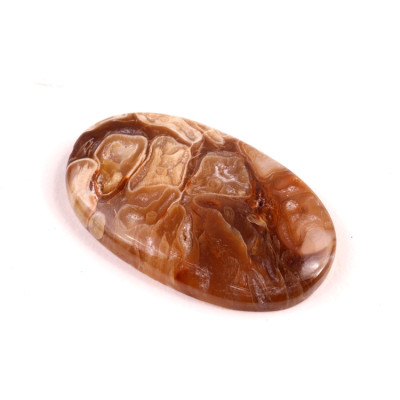 Kabošon Peanut Fossil č.2518 (37x22x5mm)