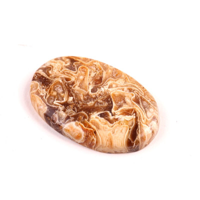 Kabošon Peanut Fossil č.2517 (35x23x5mm)