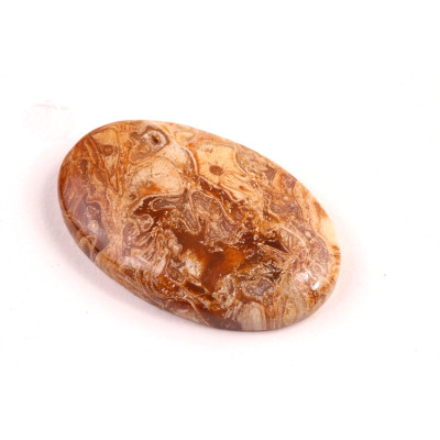 Kabošon Peanut Fossil č.2516 (35x22x6mm)