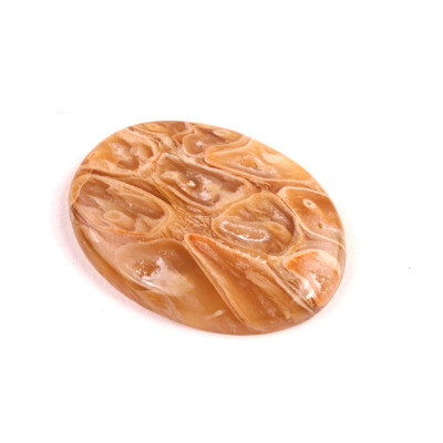 Kabošon Peanut Fossil č.2514 (33x25x5mm)