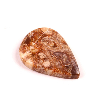 Kabošon Peanut Fossil č.2507 (35x24x6mm)