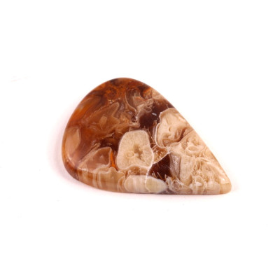 Kabošon Peanut Fossil č.2504 (32x22x5mm)