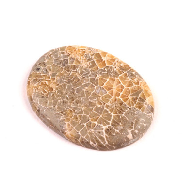 Kabošon Java Fossil č.4521 (34x26x4mm)