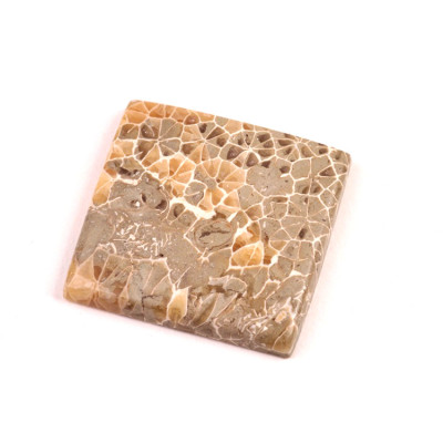 Kabošon Java Fossil č.4523 (27x26x5mm)