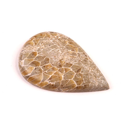 Kabošon Java Fossil č.4525 (40x25x5mm)