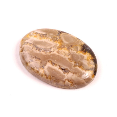 Kabošon Bumblebee Jasper č.1957 (37x26x7mm)