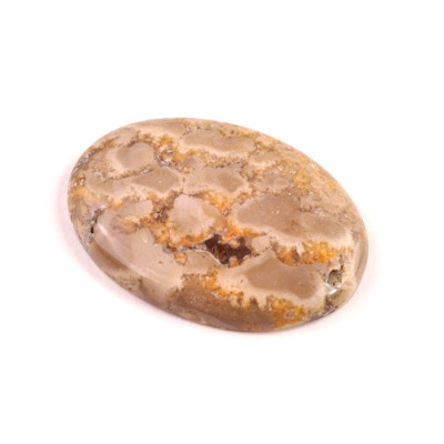 Kabošon Bumblebee Jasper č.1962 (36x25x6mm)