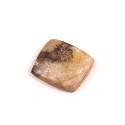 Kabošon Bumblebee Jasper č.2682 (19x17x5mm)