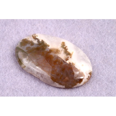 Kabošon Tree Agate č.1715 (37x23x7mm)