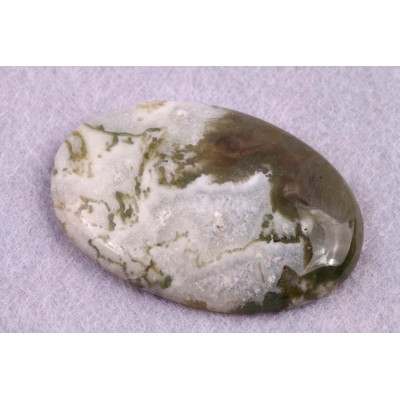 Kabošon Tree Agate č.1724 (42x29x6mm)