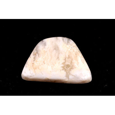 Kabošon White Feather Agate č.3508 (32x23x6mm)