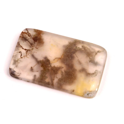 Kabošon Red Moss Agate č.2706 (36x23x4mm)