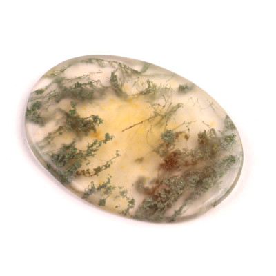 Kabošon Red Moss Agate č.2709 (41x29x4mm)