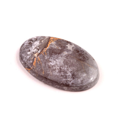 Kabošon Dendrite Tiger č.2721 (39x24x6mm)