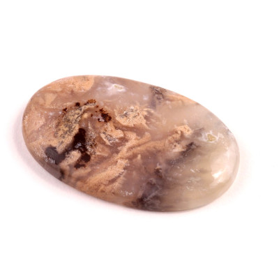 Kabošon Dendrite Tiger č.2723 (44x26x6mm)