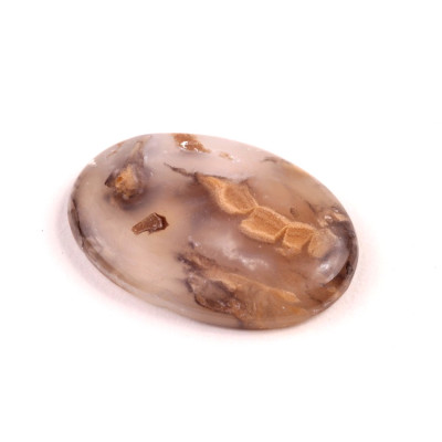 Kabošon Dendrite Tiger č.2725 (37x24x6mm)