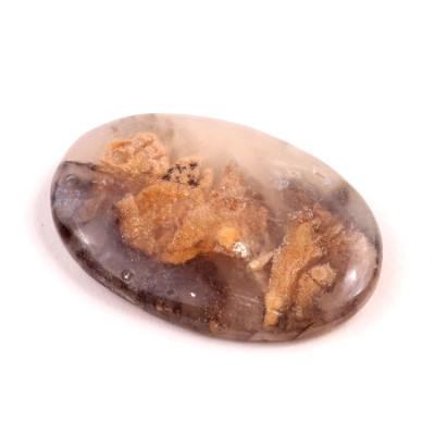 Kabošon Dendrite Tiger č.2726 (43x29x6mm)