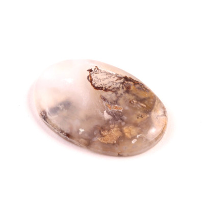 Kabošon Dendrite Tiger č.2727 (37x25x5mm)