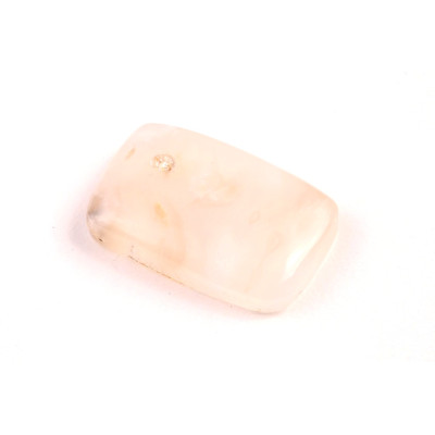 Kabošon Dendrite Tiger č.2731 (30x19x7mm)