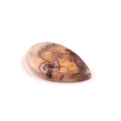 Kabošon Dendrite Tiger č.2732 (31x18x5mm)