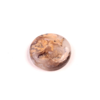 Kabošon Dendrite Tiger č.2734 (23x6mm)