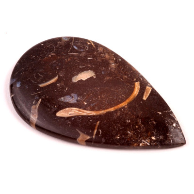Kabošon Colus Fossil č.237 (57x35x5mm)