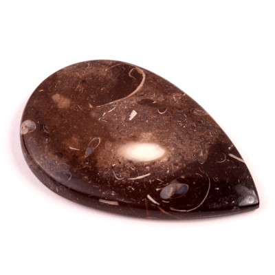 Kabošon Colus Fossil č.238 (54x35x6mm)