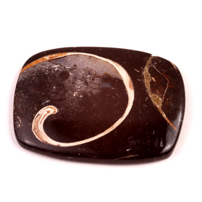 Kabošon Colus Fossil č.240 (49x38x6mm)