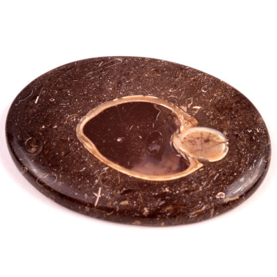 Kabošon Colus Fossil č.245 (59x43x6mm)