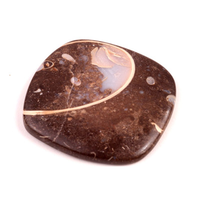 Kabošon Colus Fossil č.247 (44x41x6mm)