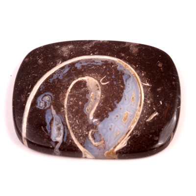 Kabošon Colus Fossil č.248 (52x42x6mm)